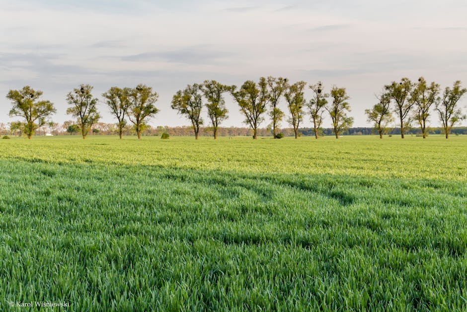 Zdjęcie do artykułu: Co zobaczyć w Polsce poza utartym szlakiem?