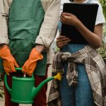 Zdjęcie do artykułu: Jak zaplanować ogród od podstaw? Kompletny przewodnik początkującego